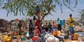 العالم بحاجة إلى زيادة الغذاء بنسبة 60%