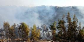 الدفاع المدني: حريق واد القف بفعل فاعل