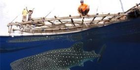 صياد يمسك بـ"العفريت".. القرش الأبشع والأشرس