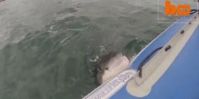 بالفيديو .. سمك قرش يهاجم قاربا مطاطيا