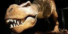 مصادفة اكتشاف دم وكولاجين معا في عظام ديناصور قد تؤدي إلى إعادة كتابة التاريخ