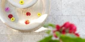 جمال النافورة في الباحات الخارجية لمنزلكي