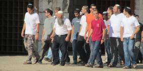 مستوطنون يتجولون في المسجد الأقصى بحراسات مشددة