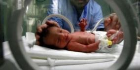 غزة: 7 مواليد كل ساعة و15 حالة وفاة يوميا خلال يناير