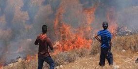 مستوطنون يحرقون غرفة في ارض زراعية شمال نابلس