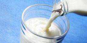 عقرب في علبة حليب للأطفال الرضع