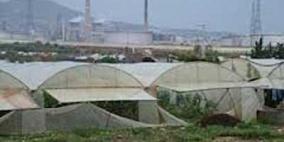 توزيع مستحقات مالية للمزارعين المتضررين من الجدار بطولكرم