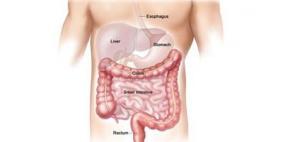 فيتامين "أ" يقوى جهاز المناعة