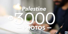 "سبيتاني" تُطلق فيديو فلسطين ب 3000 صورة للتهنئة بحلول عام 2016