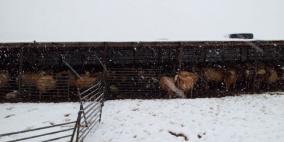 منخفضات جوية متتابعة هذا الاسبوع