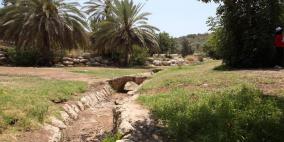 عــمـــواس