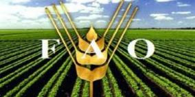 الفاو: الاضطرابات في مصر يمكن أن تهدد الأمن الغذائي