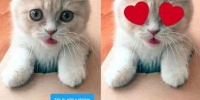 تويتر يختبر ميزة "ملصقات" جديدة