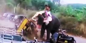 بالفيديو.. فيل غاضب يفسد احتفالا مقدسا في الهند