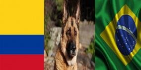 كلب يحول دون تعيين نائب الرئيس الكولومبي سفيرا لدى البرازيل