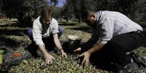 "الدفاع المدني" ينشر إرشاداته بخصوص موسم قطف الزيتون