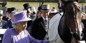 اكتشاف مورفين في فرس ملكة بريطانيا