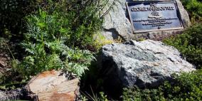 الخنافس تفترس ذكرى "الخنفس" جورج هاريسون