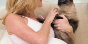 تربية القطط داخل المنازل قد تؤدى الى الاصابة بالتوكسوبلازما