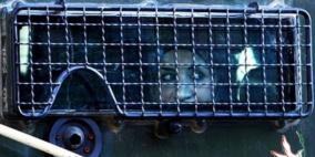 الأسيرة سهام البطاط تروي تفاصيل اعتقالها وتنكيل الاحتلال بها