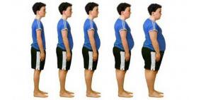 روسيا تحتل المرتبة الخامسة بالبدانة في العالم