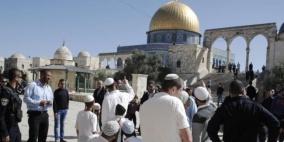 الإسلامية المسيحية تحذر من تقديم قرابين الفصح قبالة الاقصى