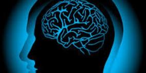 إندبندنت: علماء يطورون تقنية لإيقاف نشاط المخ