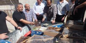 بلدية جنين تتلف كمية من التمور وسكاكر منتهية الصلاحية