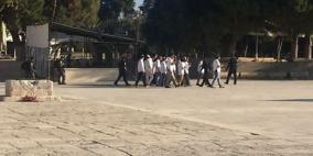 متطرفون يقتحمون باحات المسجد الأقصى