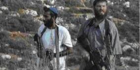 نفوق 8 أغنام بعد دهسها من مستوطن شرق يطا