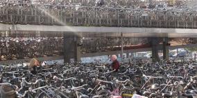 1400 دراجة هوائية هولندية تطلب اللجوء في الأردن