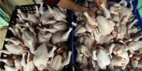 الضابطة الجمركية تتلف 2625 كيلوغراما من الدجاج المهرب