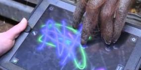 قردة أمريكا تعشق اللعب على أجهزة "أيباد"