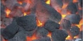 إنتاج أول فحم صديق للبيئة جنوب جنين