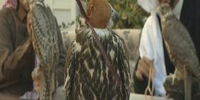 30 فندقاً متعددة النجوم للصقور في السعودية