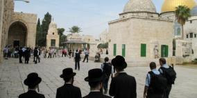 متطرفون يهود يقتحمون الأقصى