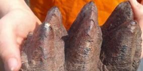 طالب مدرسة يعثر على سن للمستودون المنقرض