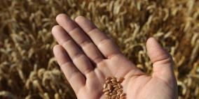 محكمة مصرية تؤيد التحفظ على أموال متهمين في "فساد القمح"