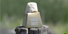 كيلوغرام من جبنة "الحمير" يساوي ألف يورو