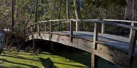 صورة فوتوغرافية "تدمر" جسرا