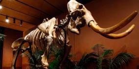 مزارع أمريكي وابنه يعثران على كنز من عصور ما قبل التاريخ