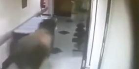 بالفيديو .. ثور هائج يثير الذعر في مستشفى برازيلي