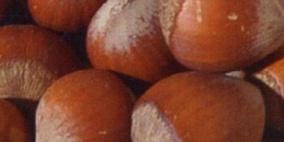 تناول السودانى والبندق واللوز يوميا يحمى من الإصابة بالسرطان