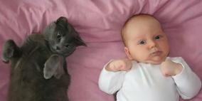 الطفيليات التي تعيش في القطط تحول الأطفال الى حمقى