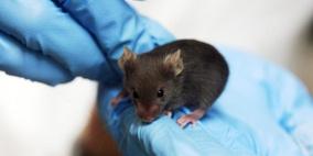 العلماء يكتشفون صيغة لإطالة العمر والصحة