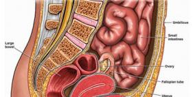 طفرة جينية تسبب الإصابة بسرطان الأمعاء عند تناول اللحوم المصنعة