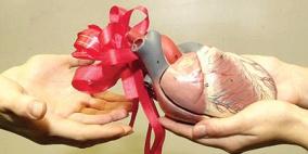 هل يجوز تبرُّع المسلمين بأعضائهم لغير المسلمين؟