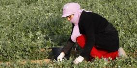 غزيات يبحثن عن رزق دمره الاحتلال