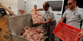 ضبط دجاج مهرب في الخليل