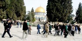 مستوطنون يقتحمون الأقصى وسط إجراءات مشددة